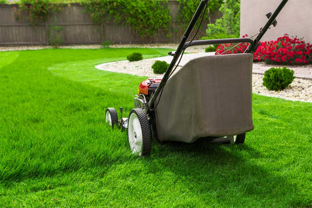 Lawn care service