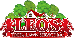Leos Tree and Lawn Service