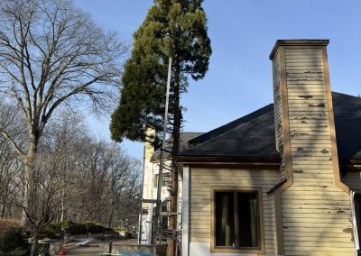 Quality Lawn Maintenance (2)